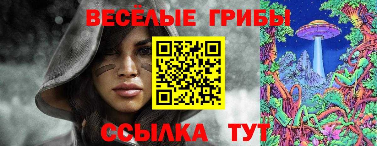 Галлюциногенные грибы мицелий Волгоград