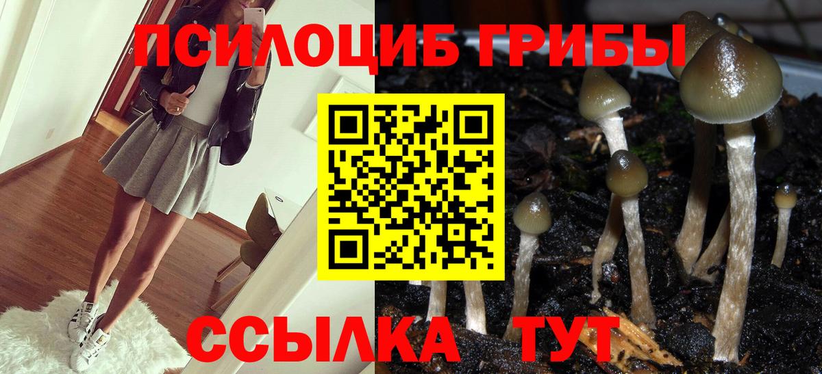 Волгоград  Псилоцибиновые грибы прущие грибы  Вход с VPN 